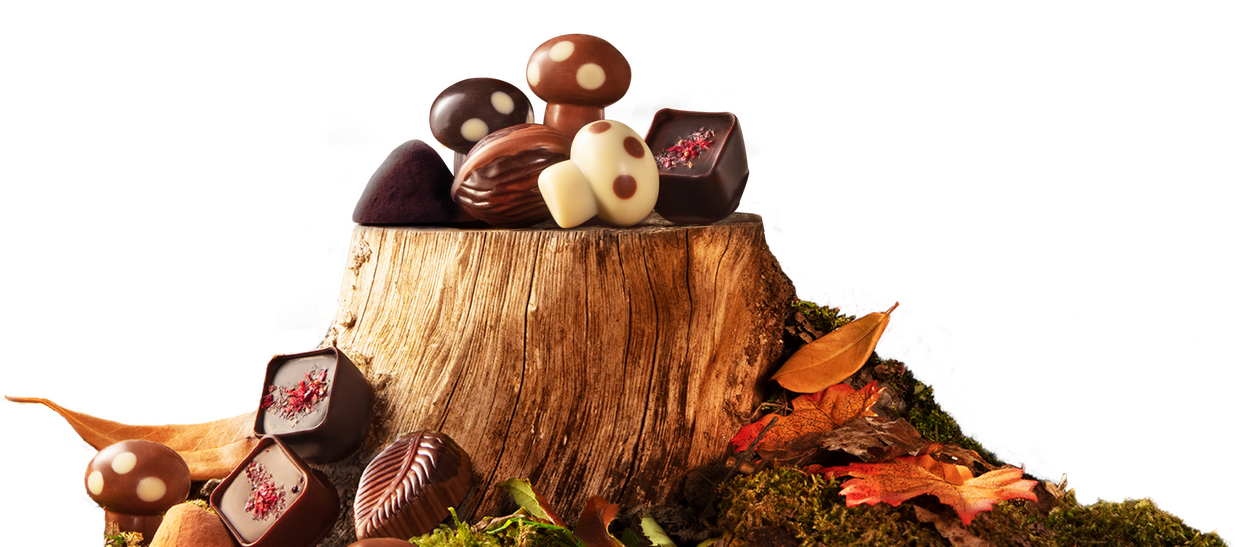 Leonidas – Colecția de Toamnă